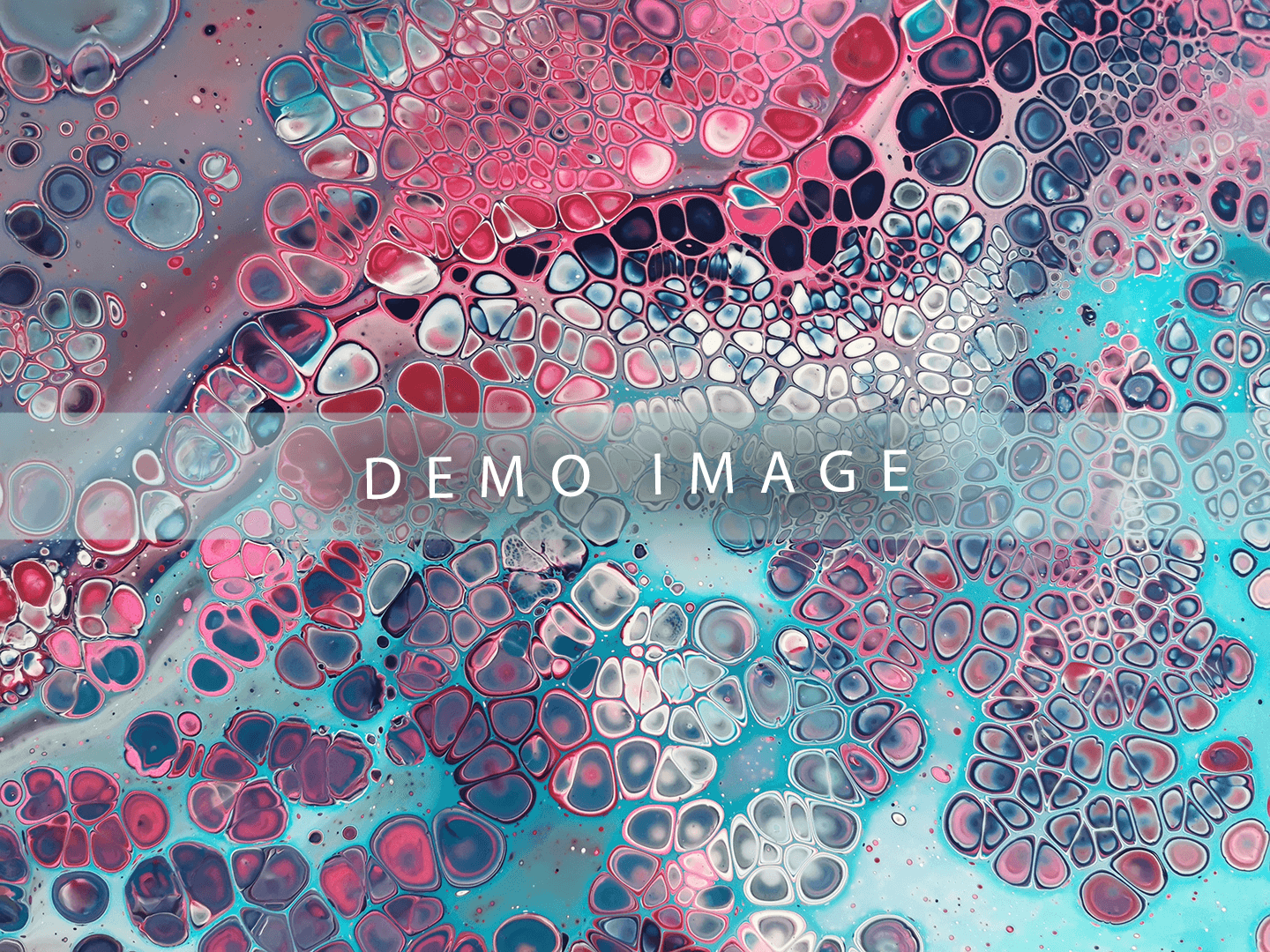 no-image