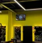 Lemon gym Ozas